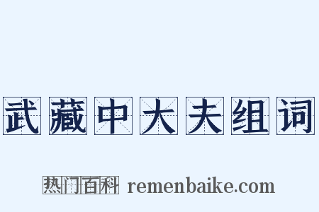 武藏中大夫组词是什么意思的图片